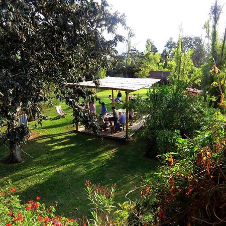La Casa Del Tilo Bed and Breakfast Hacienda Santa Rosa Exterior foto