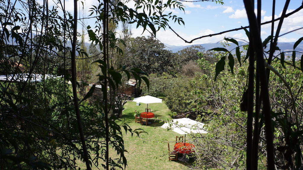 La Casa Del Tilo Bed and Breakfast Hacienda Santa Rosa Exterior foto
