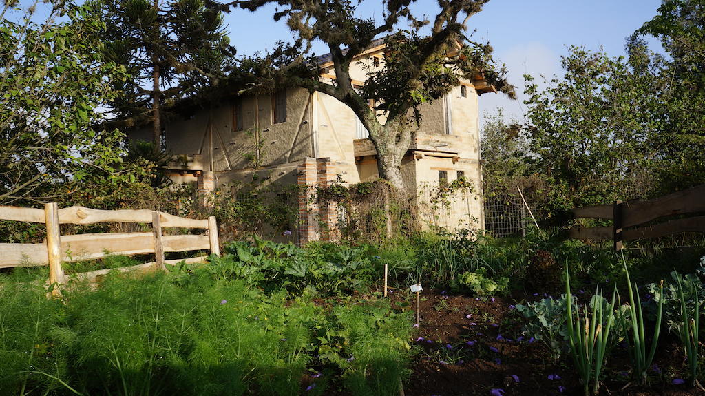 La Casa Del Tilo Bed and Breakfast Hacienda Santa Rosa Exterior foto